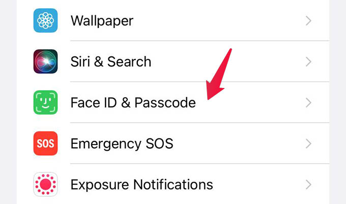 iPhone FaceID & Passcode Settings